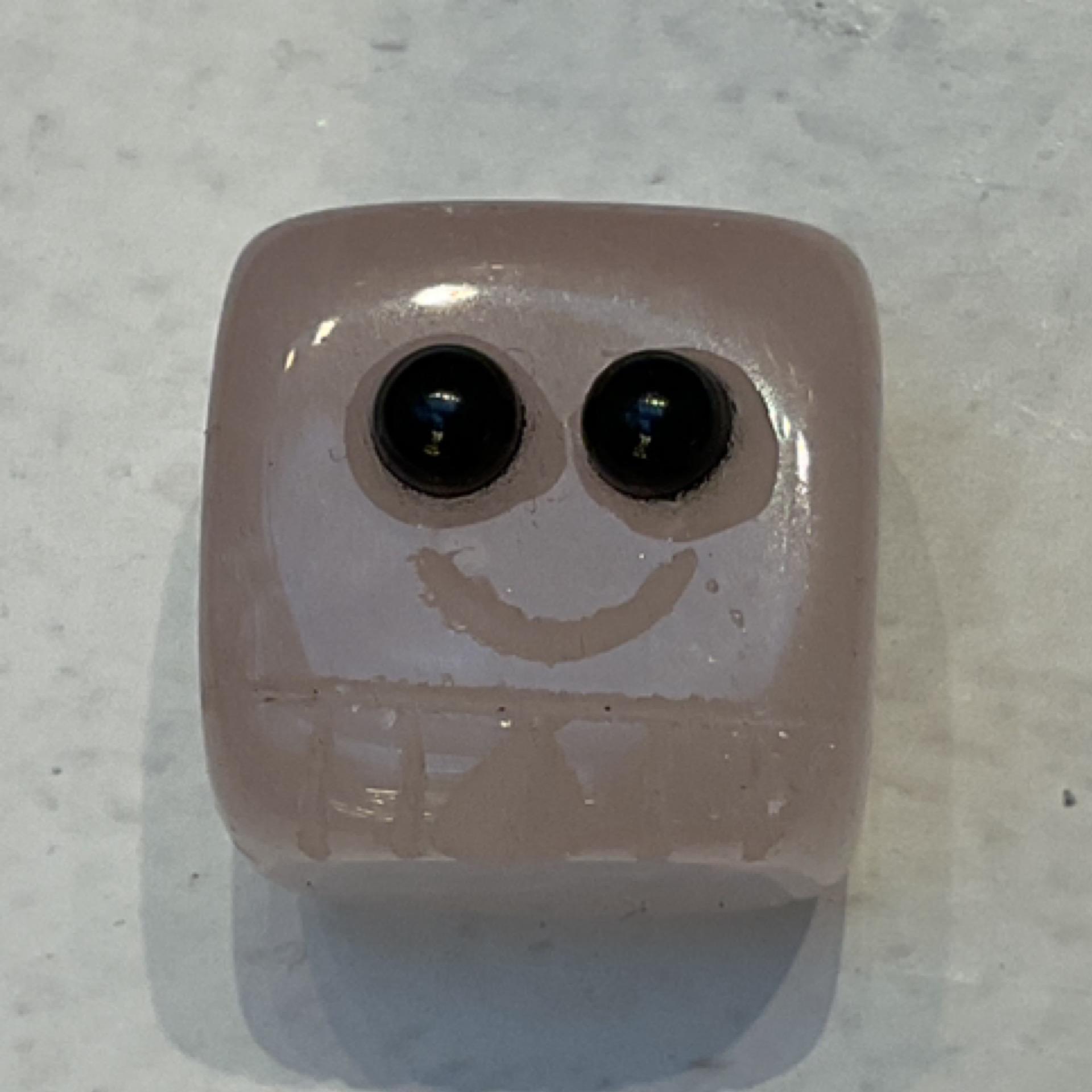 RAW SPIRIT NYC BRYANT 2025: Pet rocks, 1 x $15.00
