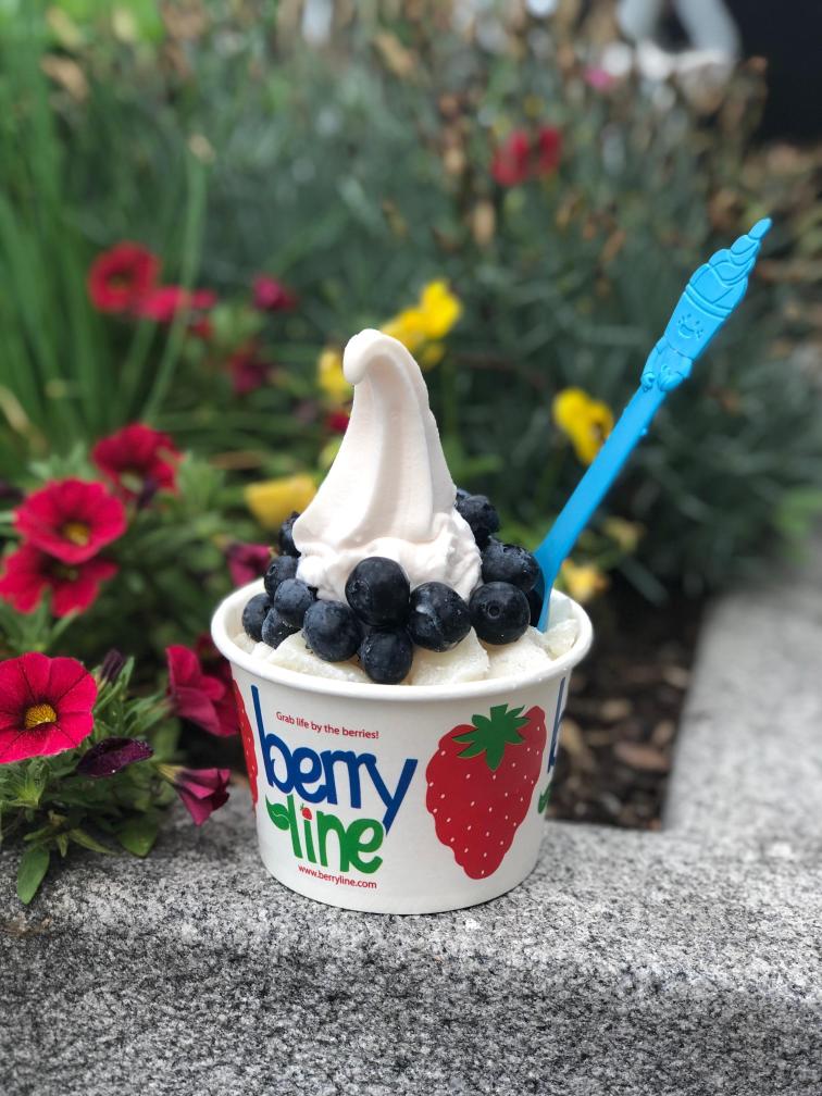 BerryLine: Frozen Yogurt + 1 Topping (Harvard), 1 x $5.98
Choose one of our Harvard Square exclusive multi-award winning frozen yogurt flavors! Add a topping and BAM you have a small masterpiece. (Only the topping selected in the drop down will be included. Due to the nature of our toppings, there is a chance the topping selected will be out of stock.)