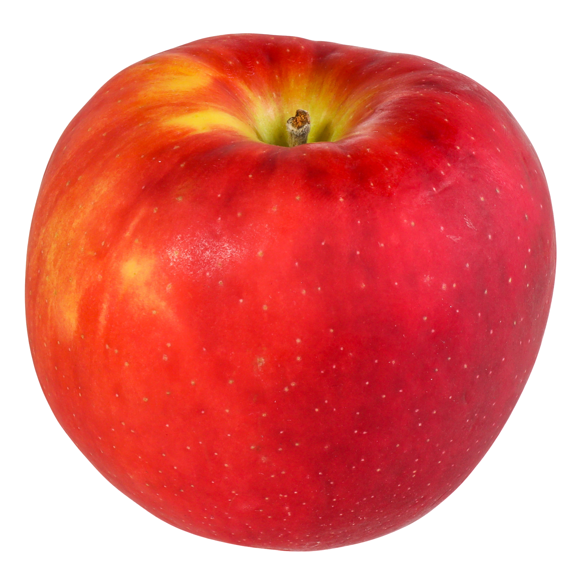 SamosaMan: APPLE Wsl, 10 x $1.99
Vt Apples Samosas
