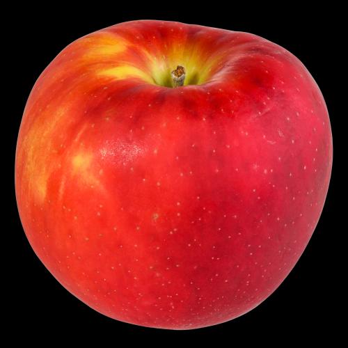SamosaMan: APPLE Wsl, 10 x $1.99
Vt Apples Samosas