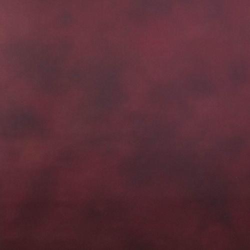 Space-4-Shoots: Canvas Background, 1 x $15.00
