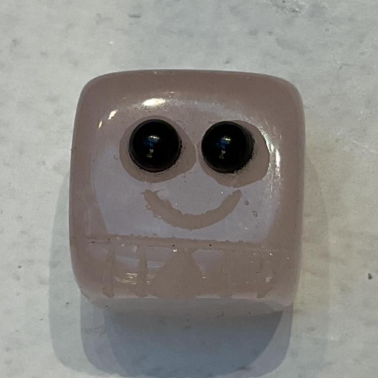 RAW SPIRIT NYC BRYANT 2025: Pet rocks, 1 x $15.00
